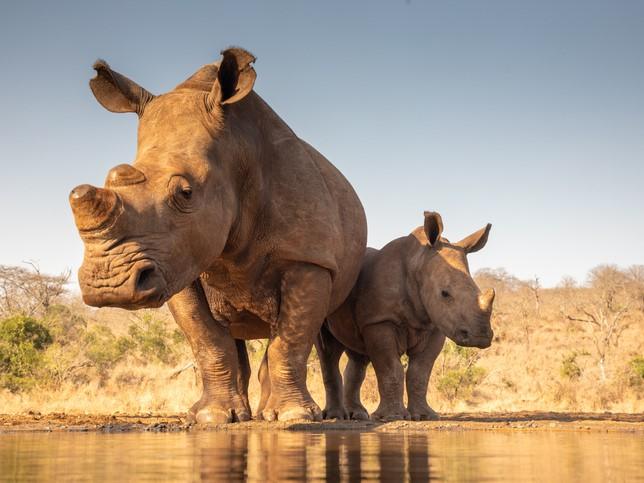 Academics and students should not require rhino-thick skin to succeed