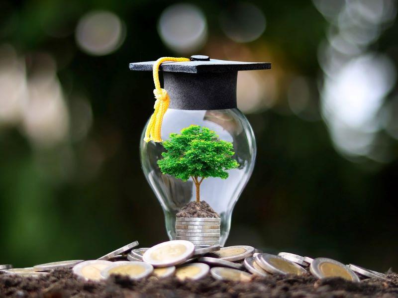 Image representing higher education as tied to financial interests