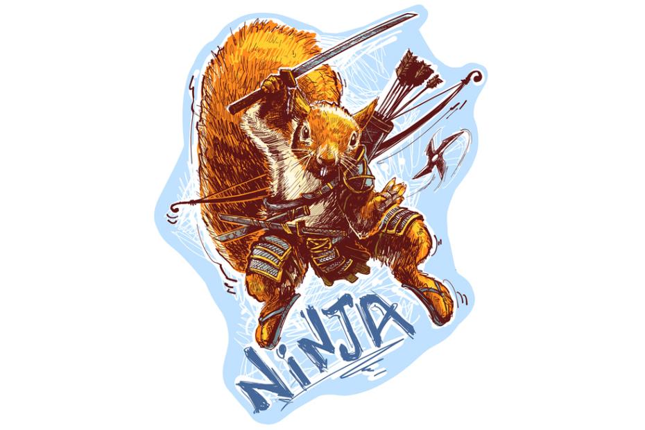 illustration of ninja squirrel