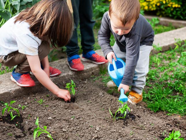 Children plant and water growing plants