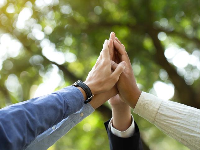 Hands high-five in front of a leafy tree