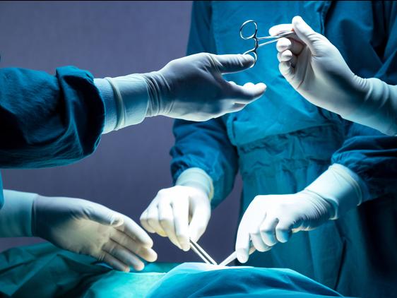 A pair of surgical scissors are passed from one member of the surgical team to another