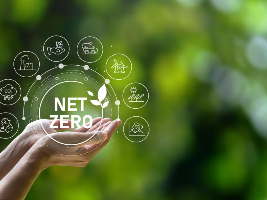 Hands holding the words "net Zero" against a blurred out verdant background