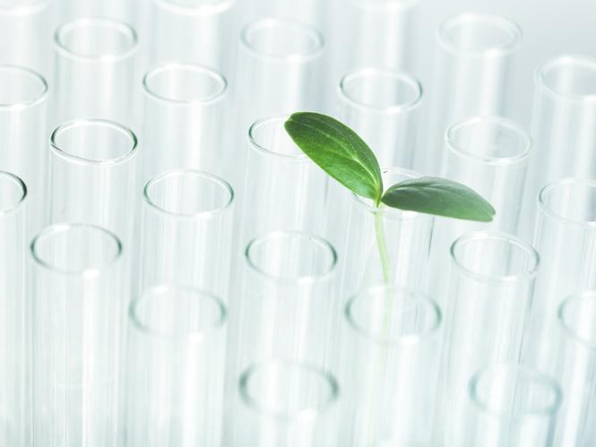 seedling in test tube illustrating resource about greener life science labs