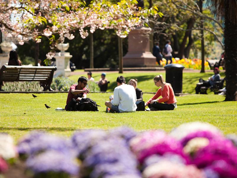 Photo of students sitting on the grass in the University of Auckland campus
