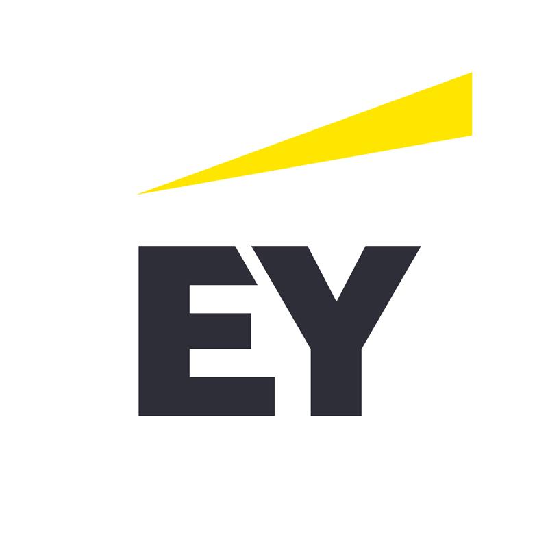 higher education experience essay EY logo