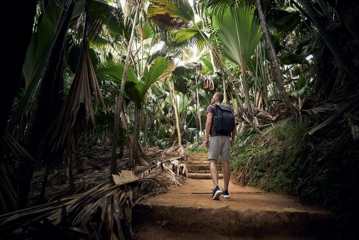 A man with a backpack wanders along a jungle path