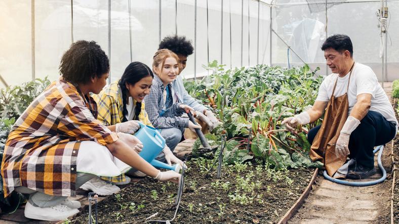 Students learn about vegetable growing in a community greenhouse