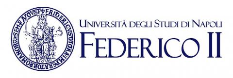 University of Naples Frederico II