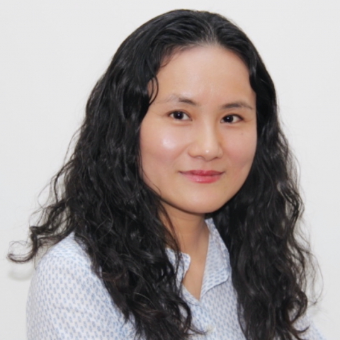 Rebecca Wang is principal lecturer in international business and management Westminster Business School.