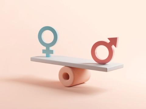 Advice on building a sustainable long-term gender equality action plan to improve female representation at your institution
