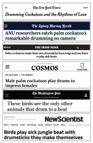 Selection of headlines about science research