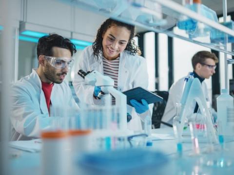 Image showing researchers in a laboratory representing a knowledge exchange programme