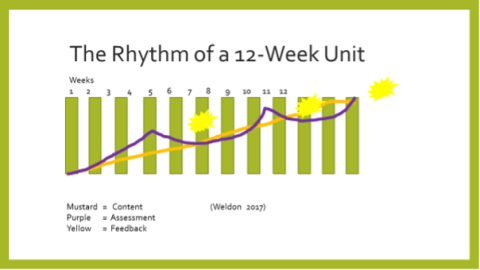 The rhythm of a 12-week university teaching unit