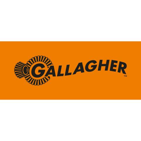 Gallagher Security logo