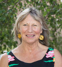 Susan Carter is an honorary associate professor, School of Critical Studies in Higher Education, Faculty of Education and Social Work, Waipapa Taumata Rau, University of Auckland. 