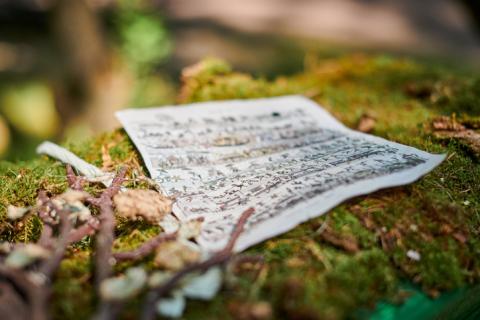Sheet music lying on moss