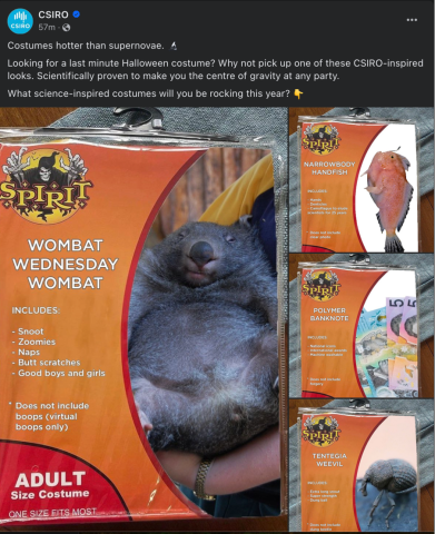 Facebook post about CSIRO's Wombat Wednesday