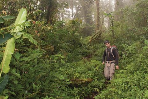 Chapman Associate Professor Gregory Goldsmith follows a narrow path in the Monteverde Cloud Forest Reserve in Costa Rica. He and his fellow researchers have used both ground- and satellite-based observations to understand the temperatures of tropical forest canopies.