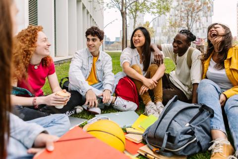 Students sitting on a patch of grass talking