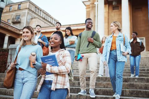 multiracial group of students on university steps