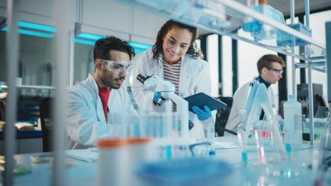 Students researching in a lab