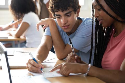 Students working together in class