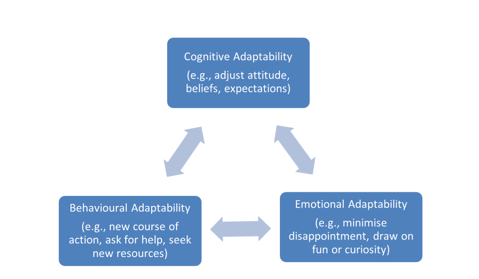 Adaptability framework