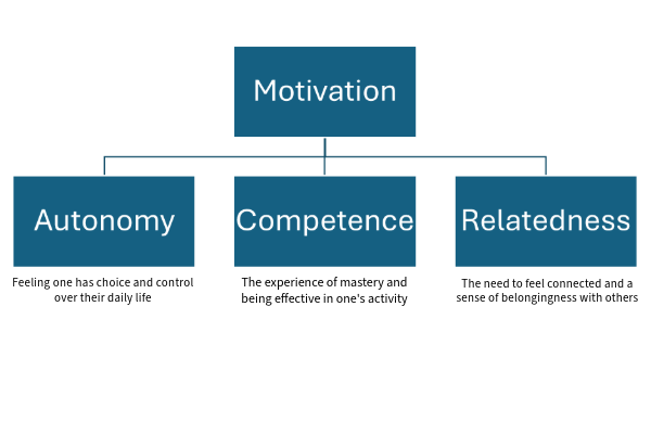 Self-Determination Theory of Motivation