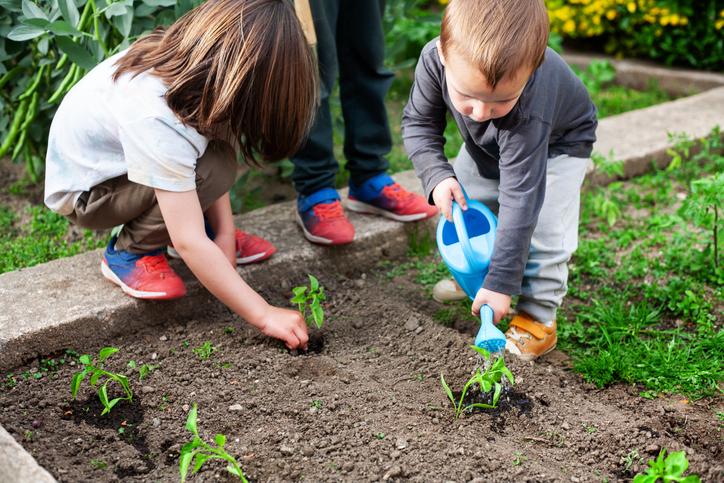 Children plant and water growing plants