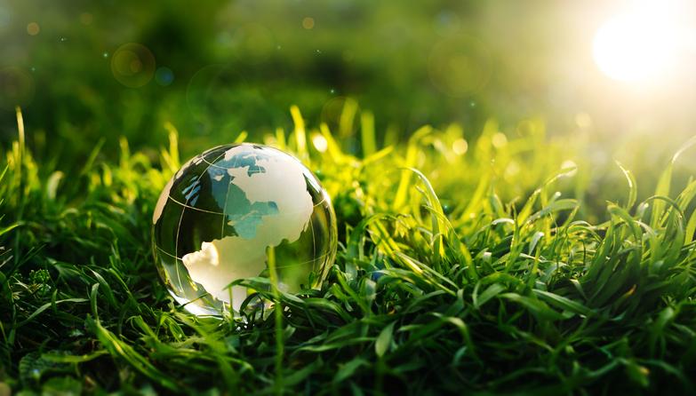 A globe nestles in green grass