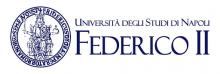 University of Naples Frederico II