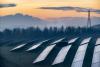 An image of solar panels in a field at sunset